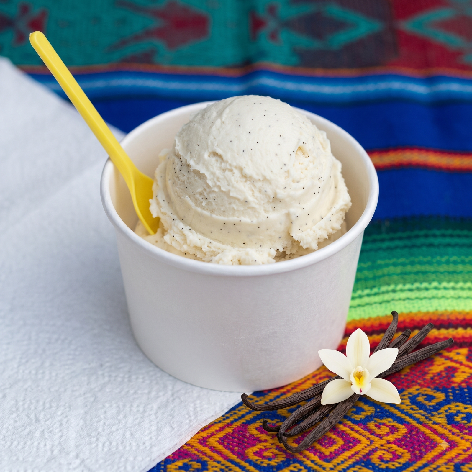 Nieve de garrafa sabor vainilla, servida por Cecilia's Ice Cream